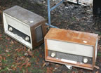 IMG_8666.JPG (243kb)
